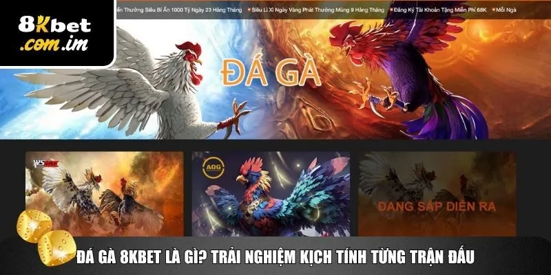 Đá Gà 8Kbet – Trực Tiếp Đỉnh Cao, Cược Nhanh Ăn Tiền Lớn 1 Tìm hiểu chung về sân chơi đá gà 8Kbet