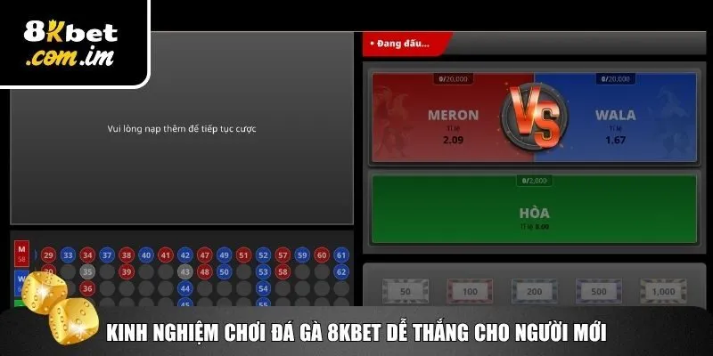 Đá Gà 8Kbet – Trực Tiếp Đỉnh Cao, Cược Nhanh Ăn Tiền Lớn 3 Kinh nghiệm làm chủ bộ môn đá gà 8Kbet