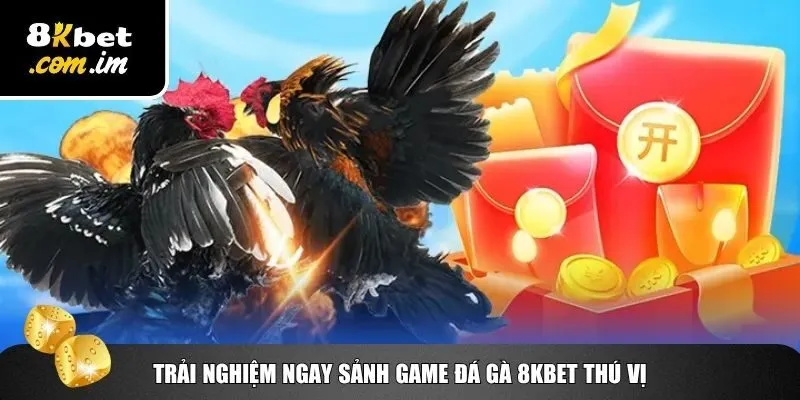 Đá Gà 8Kbet – Trực Tiếp Đỉnh Cao, Cược Nhanh Ăn Tiền Lớn 2 Trải nghiệm ngay sảnh game đá gà 8Kbet thú vị